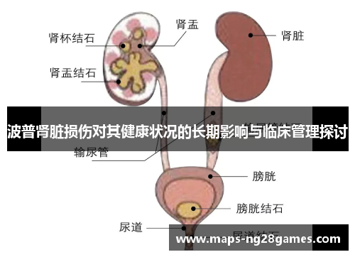 波普肾脏损伤对其健康状况的长期影响与临床管理探讨