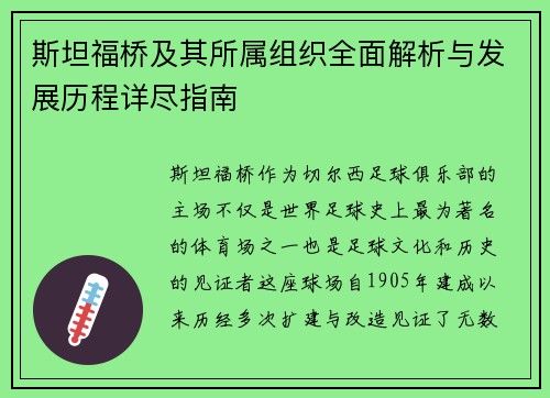 斯坦福桥及其所属组织全面解析与发展历程详尽指南